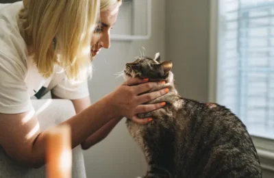 Marketing digital para clínicas veterinárias em Portugal