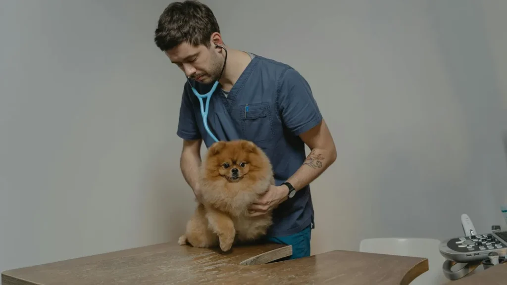 Veterinarios