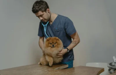 Veterinarios